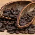 Неизпечените какаови зърна са алено червени