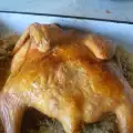 Пиле на сол