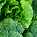 Правилно съхраняване на зелени зеленчуци и салати
