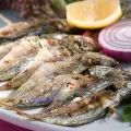 Тридневен рибен и миден фестивал предстои в Каварна