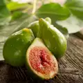 За ползите от листата от смокиня