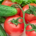 Едва 14 процента от доматите на пазара са български