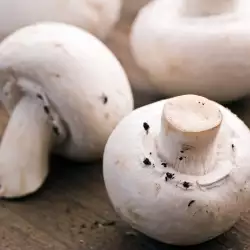 Гъбите печурки имат ли отровни двойници?
