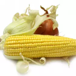 Лечебни свойства на царевицата