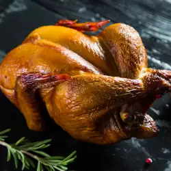Опушване на пиле в домашни условия