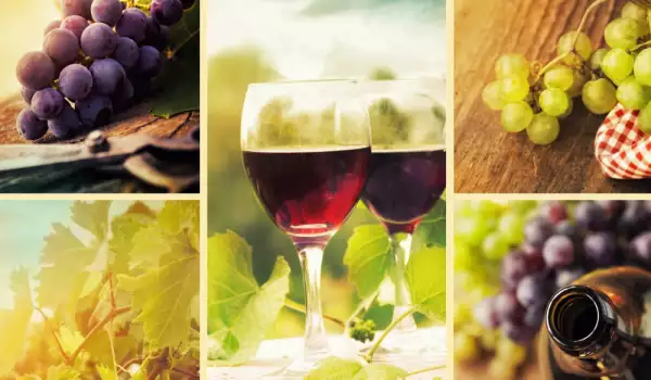 Как домашното вино да стане хубаво