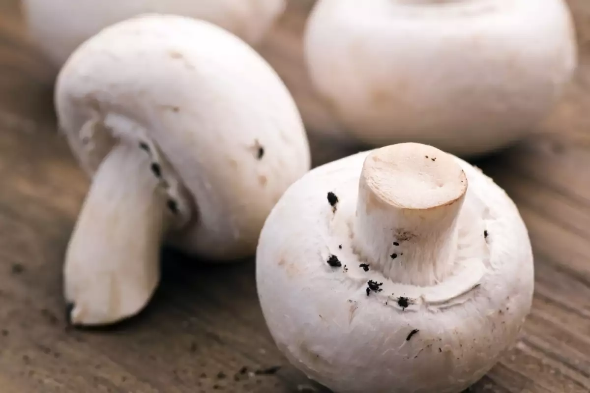Замразяване на Гъби Печурки