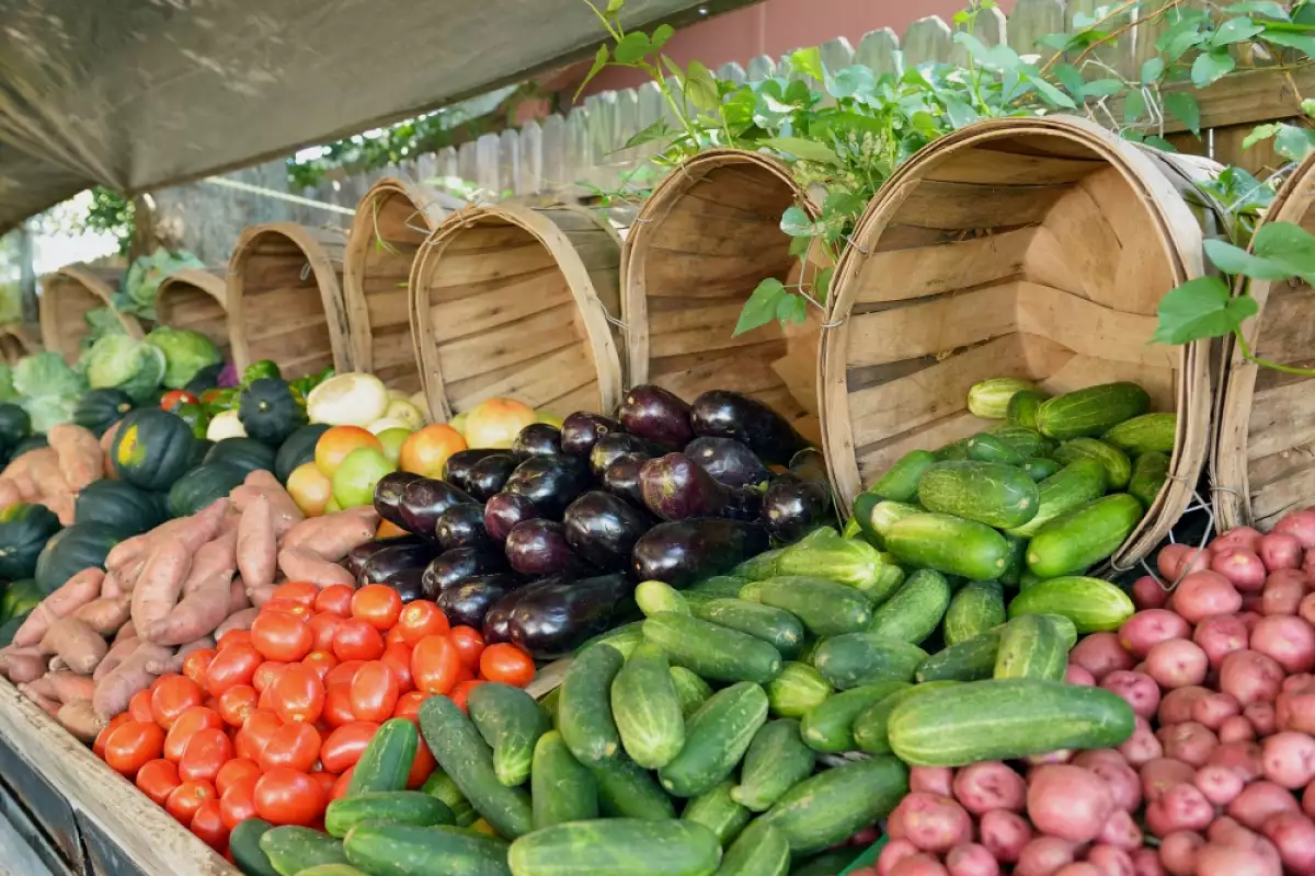 Снимка: Защо да избираме местно отглеждани зеленчуци и плодове