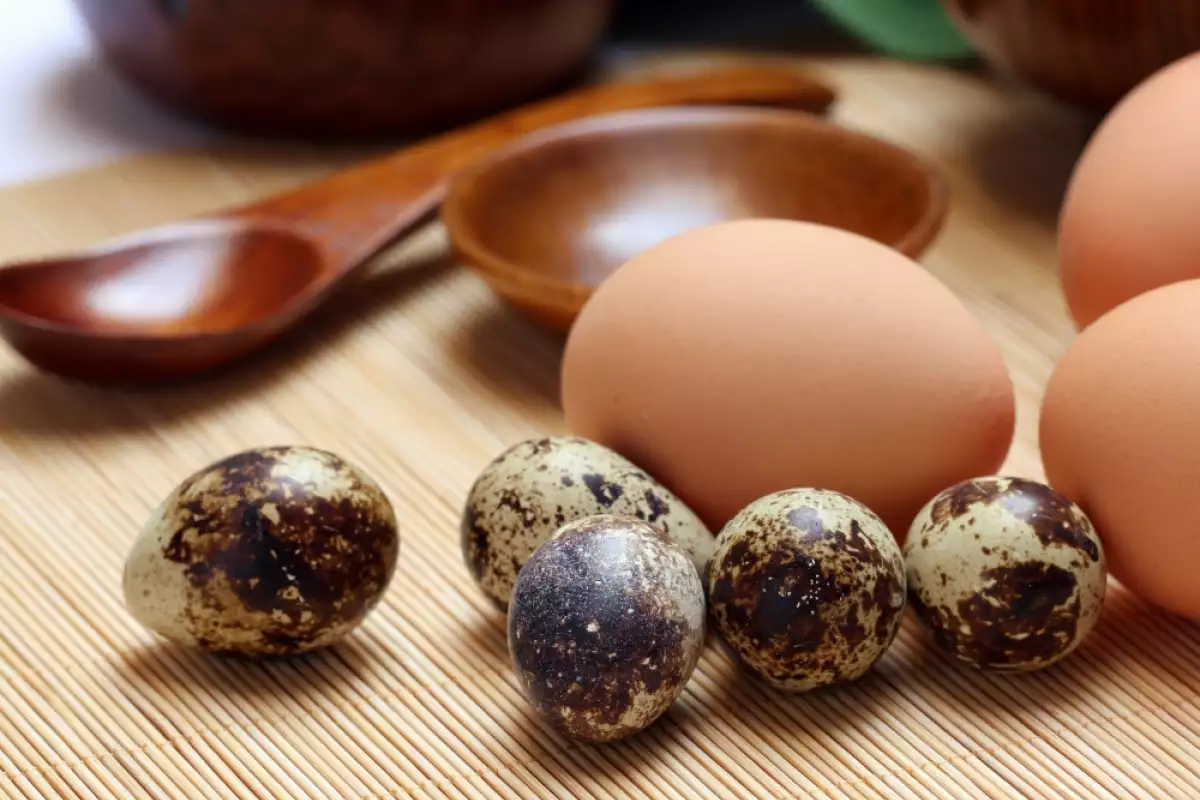 Полезни ли са пъдпъдъчите яйца
