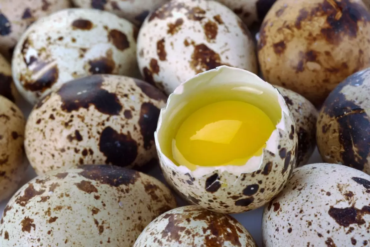 Хранителна Стойност на Яйца от Пъдпъдък