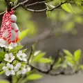 Кулинарна магия през март: традиции и обичаи в българската кухня