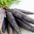 Неочакваните ползи от черните моркови