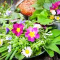 9 годни за консумация цветя с потенциални ползи за здравето