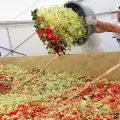Румънци забъркаха Най-голяма салата в света!