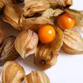 Полезен ли е плодът физалис за младите момичета?