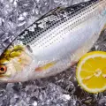 Как да съхраняваме прясна риба и миди