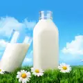 Животинско или растително мляко - кое е по-добро за теб