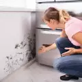 Как да се отървем от мухъла по стените