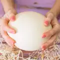 Приложение на черупките от яйца на щраус
