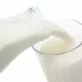 Млякото помага да отслабнем