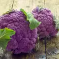 Любопитно: Редки зеленчуци и култури в света