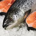 Колко време може да стои рибата замразена?