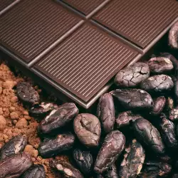 Полезните съставки в шоколада
