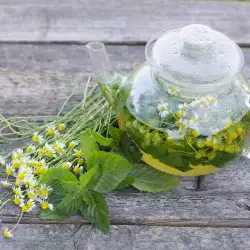 Как да си приготвим сами тонизираща вода от лайка?