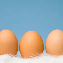 Правилно съхраняване на яйца