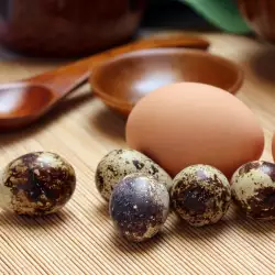 Яйцата от пъдпъдък – алтернатива на лекарствата