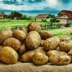 Кой е най-добрият начин за съхранение на картофи?