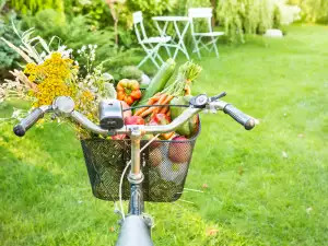 Пролетни ястия за събуждане на вкуса и настроението