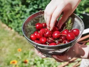 С кои продукти не бива да ядем череши