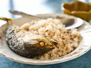 Скумрия