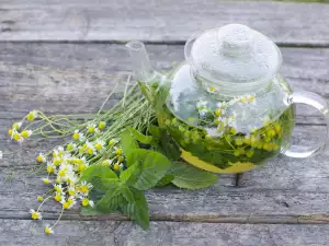Как да си приготвим сами тонизираща вода от лайка?