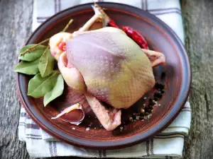 Как се готвят гълъби?