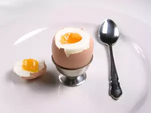 Яйце