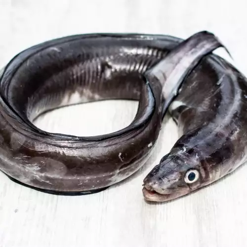 Змиорка