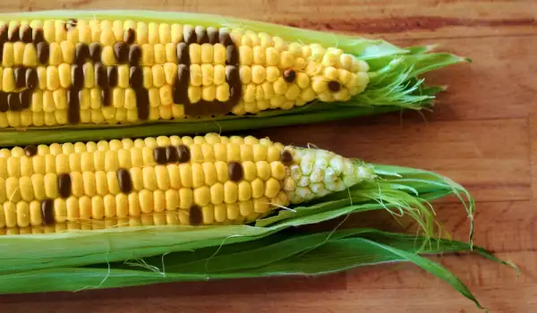 ГМО храните: Направи своя информиран избор!