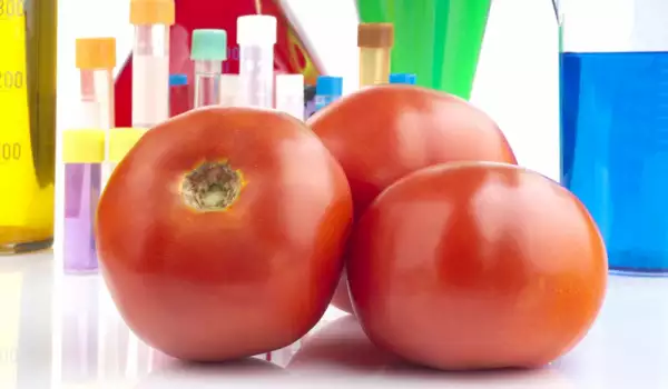 ГМО доматги