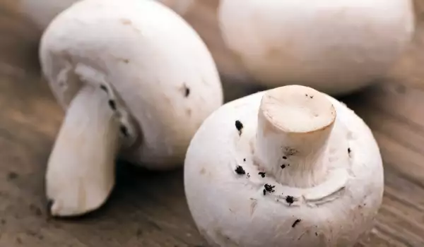 Как да съхраняваме печурки?