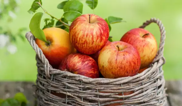 Как да запазим ябълките през зимата