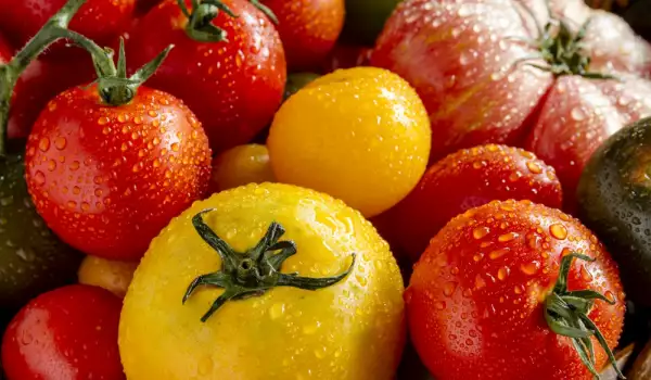различни цветове домати