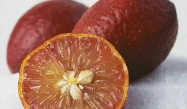 Австралийски червен лайм - кървавият син на лимона и мандарината