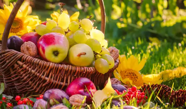 Грозде, ябълки, круши… Как да изберем най-хубавите?