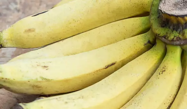 Колко протеини има в бананите?