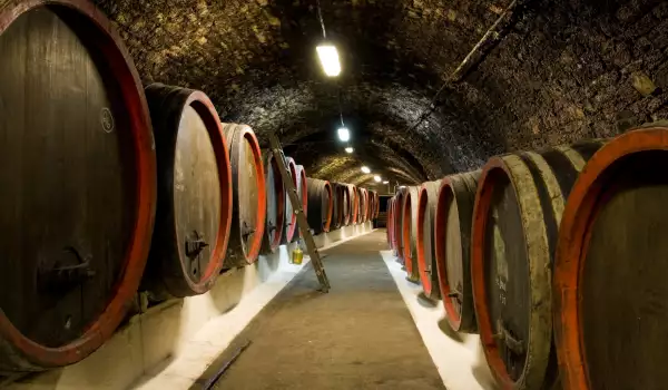 Вкарват повече пари в лозаро-винарския сектор