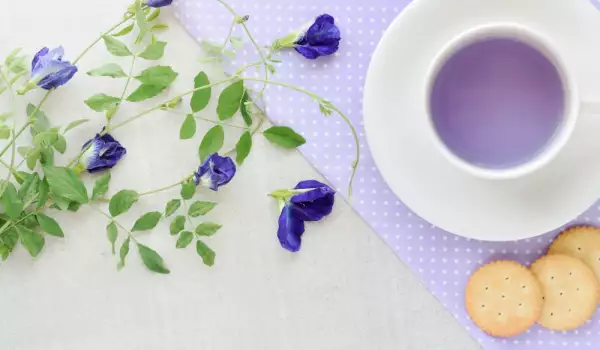 Невероятните ползи от консумацията на син чай