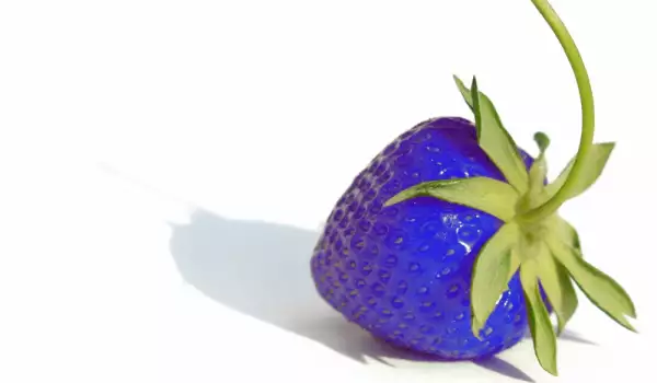Синя ягода