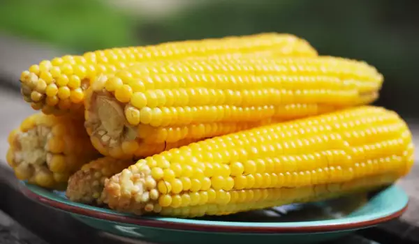 Какво съдържа царевицата?